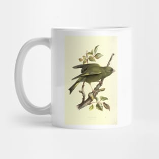 Greenfinch Mug